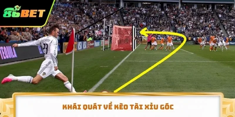 Khái quát về kèo tài xỉu góc