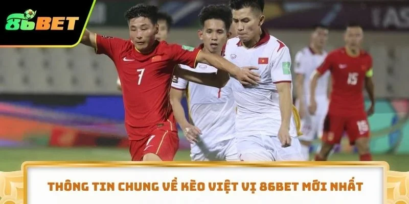 Thông tin chung về kèo việt vị 86BET mới nhất