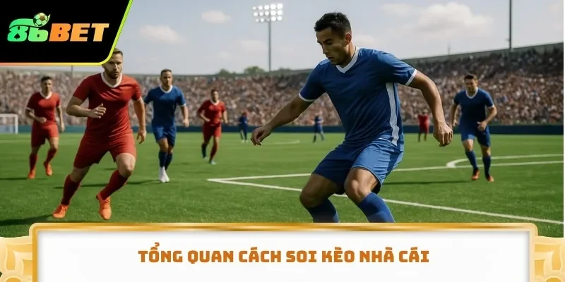Tổng quan cách soi kèo nhà cái